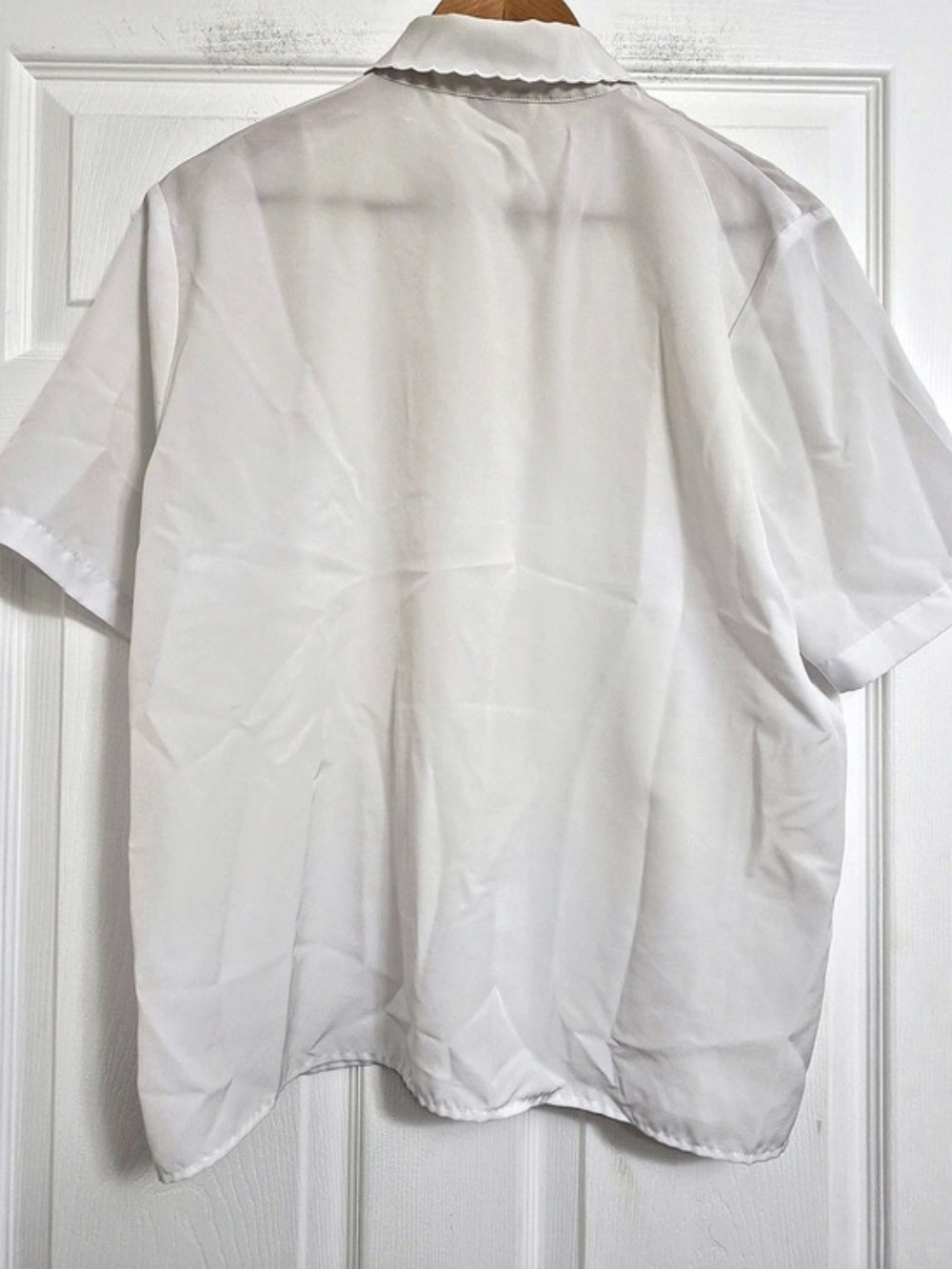 White Embroidered Collared Button Down - Picture 6 of 6